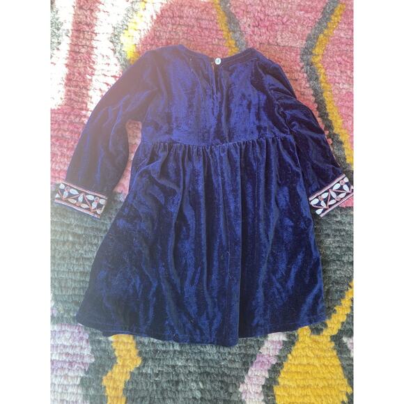 Cheeni Velvet Dress Girls Toddler Embroidered Flowers ~ Sz 3 3T Darling! - Picture 6 of 6